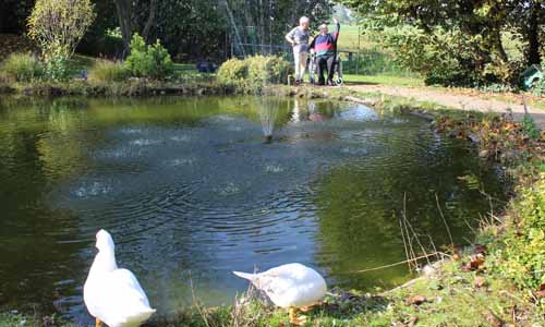 Unsere Gartenanlage mit großem Teich